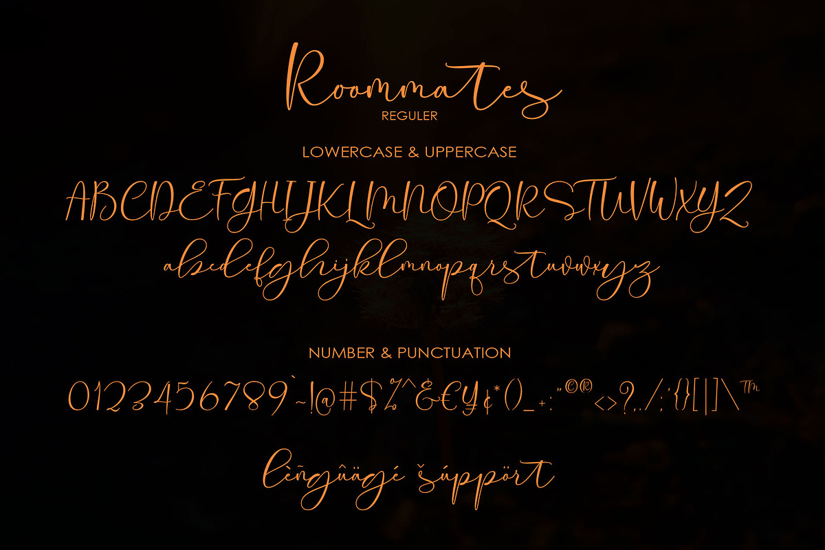 Roommates Script (Reguler & Slant), a Script Font by Jhoel Design (Photo 12 of 16)