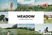 20 Meadow Lightroom Presets and LUTs, a Preset Add-On by Hubzway (Thumbnail 1 of 10)