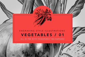 Vegetables in engraving style / 01