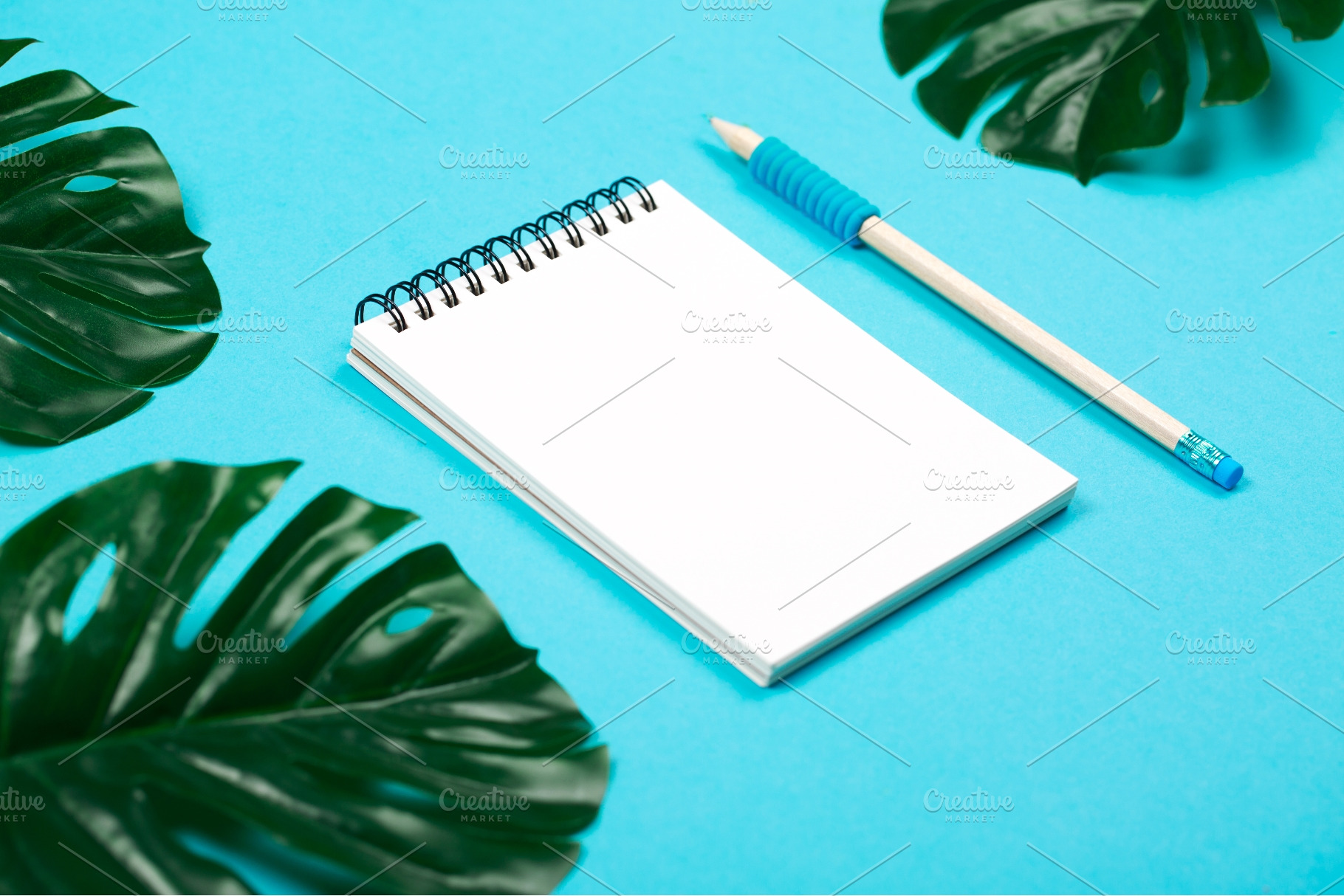 Blank notepad, pencil and monstera, a School & Education Photo by Anna Efetova