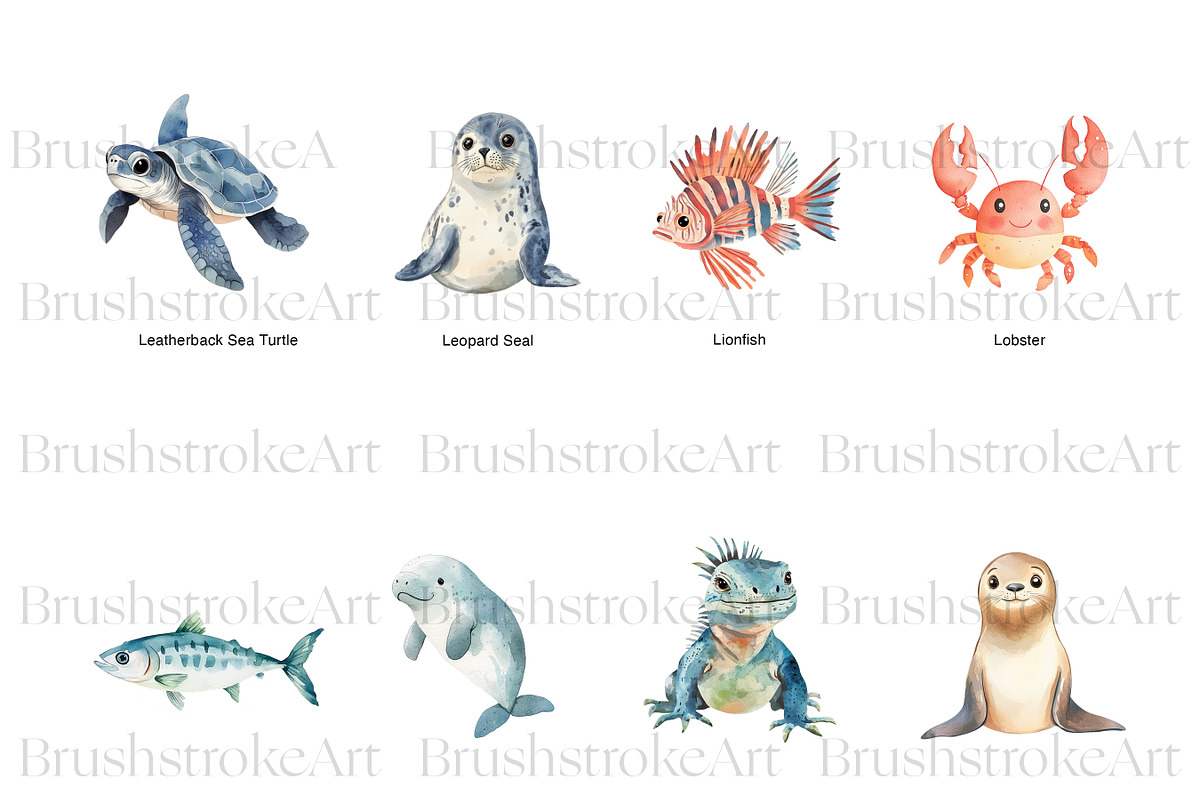 Sea Animals Clipart, Clown Fish PNG, an Animal Illustration by BrushstrokeArtGB (Photo 5 of 9)