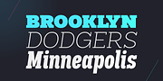 Palo Slab, a Slab Serif Font by TypeUnion (Thumbnail 13 of 13)