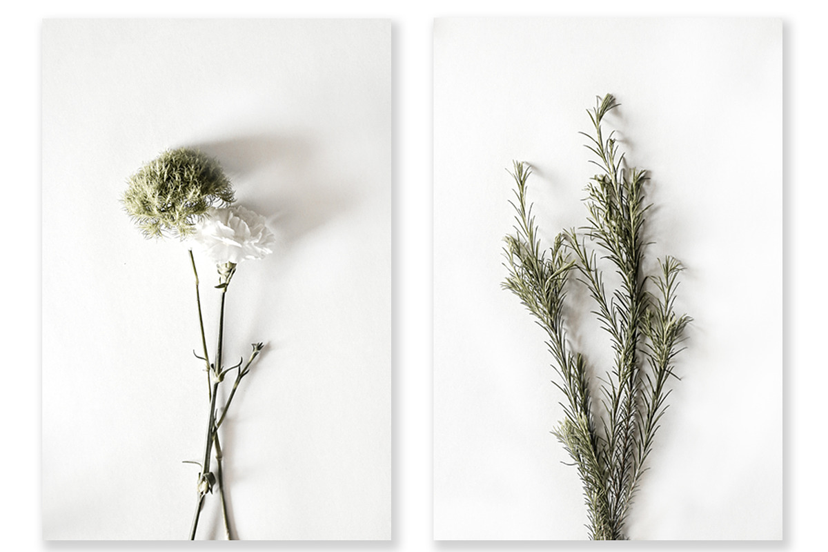 Floral Photography Bundle, a Nature Photo by Creative Moxie Studio (Photo 4 of 7)