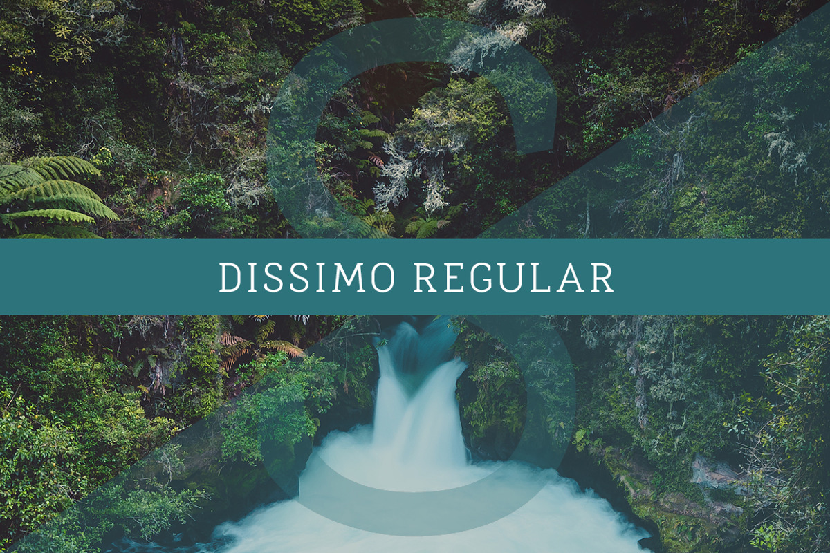 Dissimo Font Family (8 fonts), a Font by Verg Shop (Photo 12 of 24)