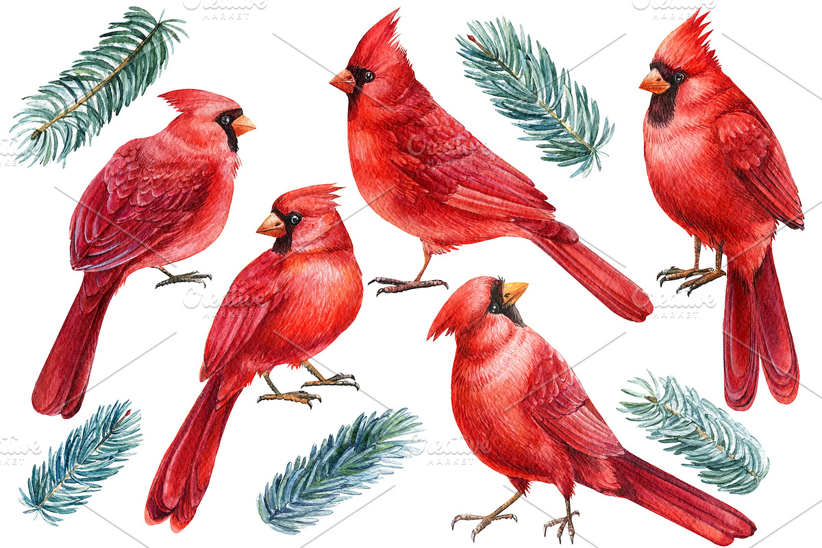 Christmas watercolor clipart, a Decorative Illustration by Hanna Hryharenka (Photo 2 of 19)