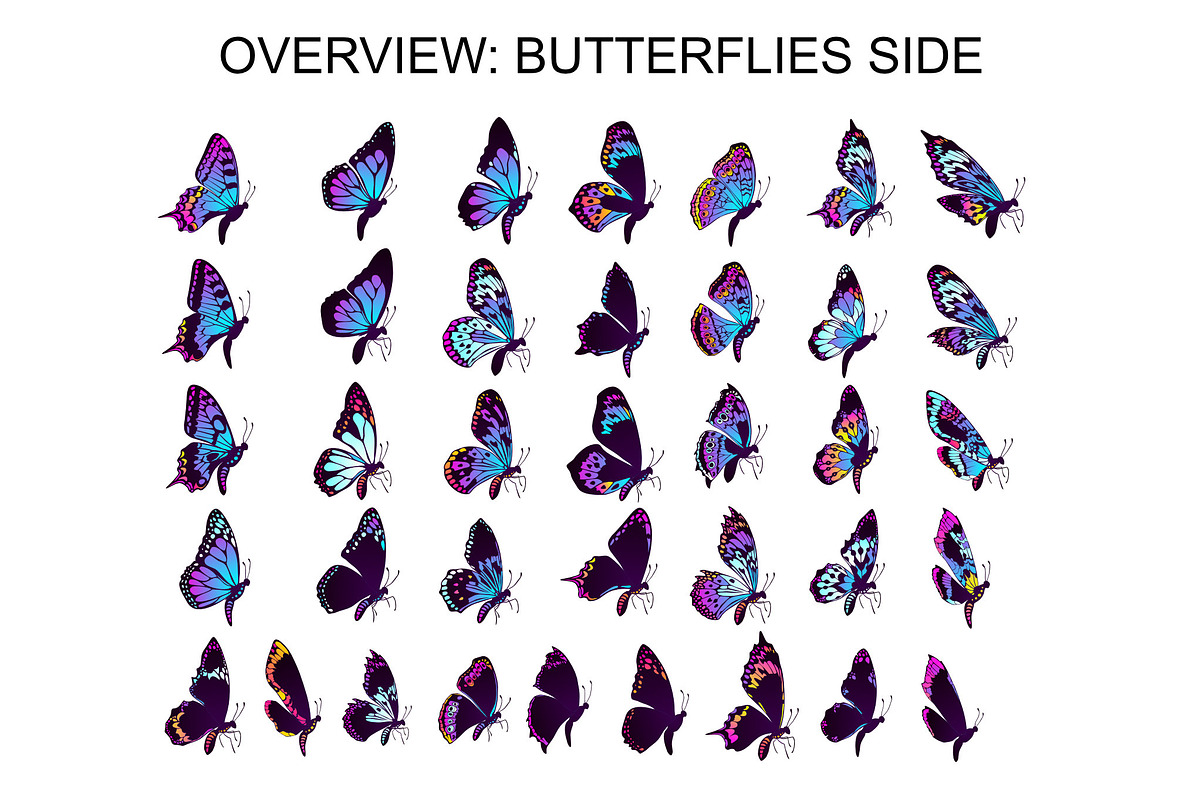Wings & Butterfly(SVG, PNG Brushes), a Brush Add-On by xresch (Photo 10 of 22)