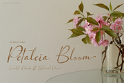 Bohemiya Felmirah | Signature Font, a Script Font by Denustudios (Thumbnail 3 of 12)