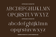 Selora Elegant Swash Serif Font, a Serif Font by Rasio Studio (Thumbnail 2 of 9)