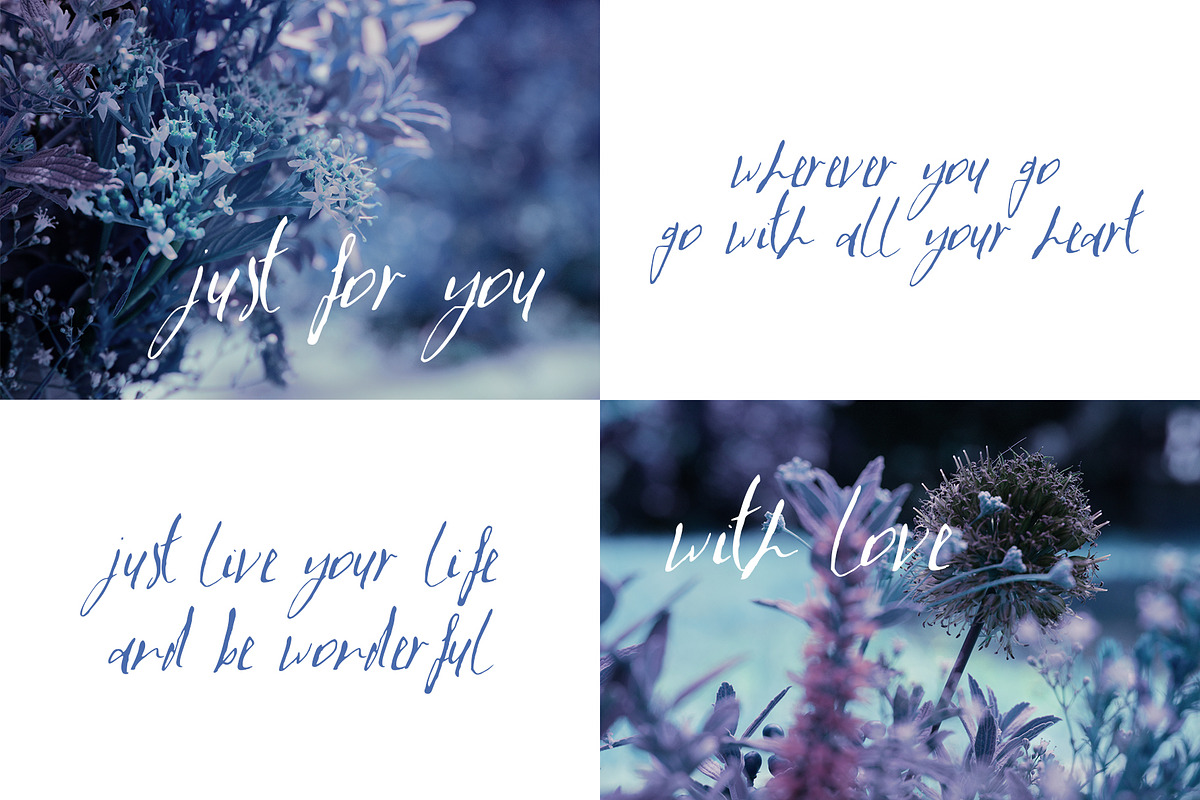 LaPayne Font, a Script Font by SophieSaxo (Photo 3 of 8)