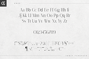 Dree serif typeface - 6 fonts, a Serif Font by Only Fonts (Thumbnail 8 of 10)