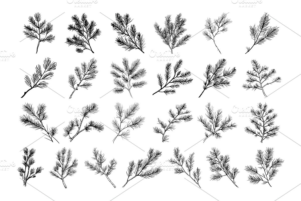 50 Pine brunch Procreate Stamps, a Brush Add-On by Procreate Sale (Photo 5 of 6)