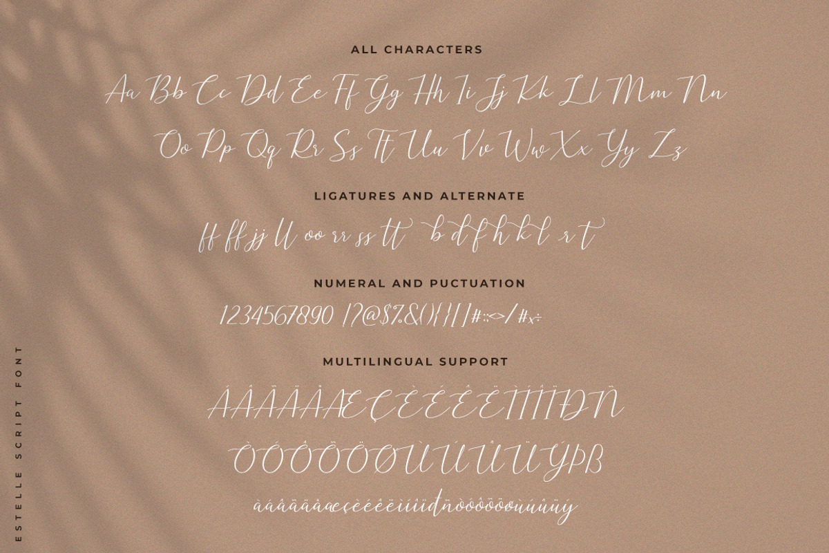 Estelle Lovely Script, a Script Font by Heinzel Std (Photo 12 of 13)
