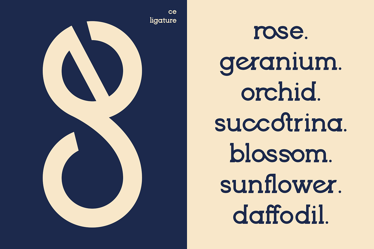 Brenzo - Slab Serif, a Slab Serif Font by Valentino Vergan (Photo 20 of 20)