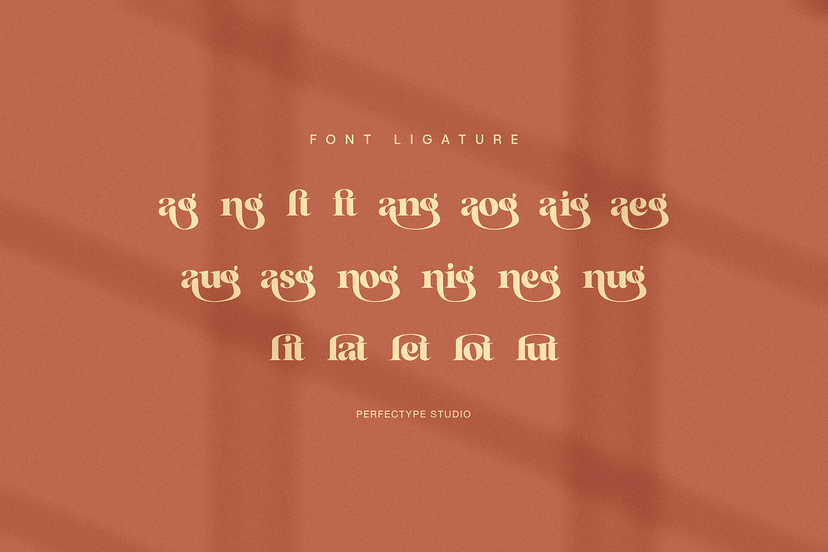 The Nagifte – Elegant Display Serif, a Serif Font by Perfectype (Photo 8 of 8)