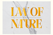 Ex Libris Flared Serif, a Serif Font by Fenotype (Thumbnail 10 of 11)