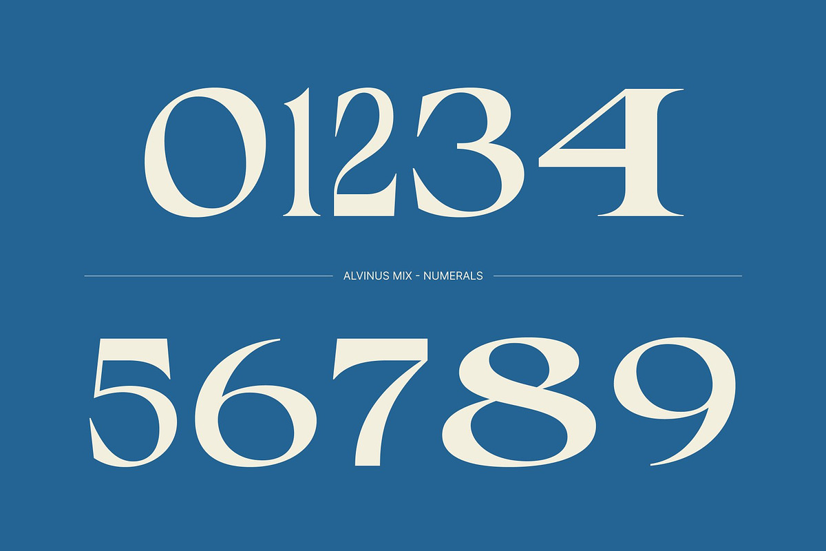 Alvinus Mix, a Serif Font by Craft Supply Co. (Photo 6 of 8)