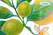 Lemons, Pomegranates elements, frame, an Object Graphic by Alena Lazareva (Thumbnail 5 of 10)