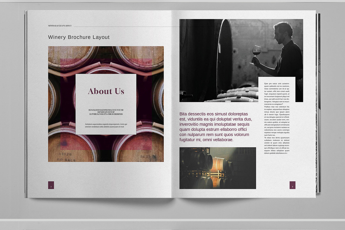 Winery Firm Brochure Template, a Brochure Template by Boris Cupac (Photo 2 of 7)