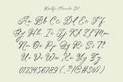 Roselife, a Handwritten Font by Nathatype (Thumbnail 9 of 11)