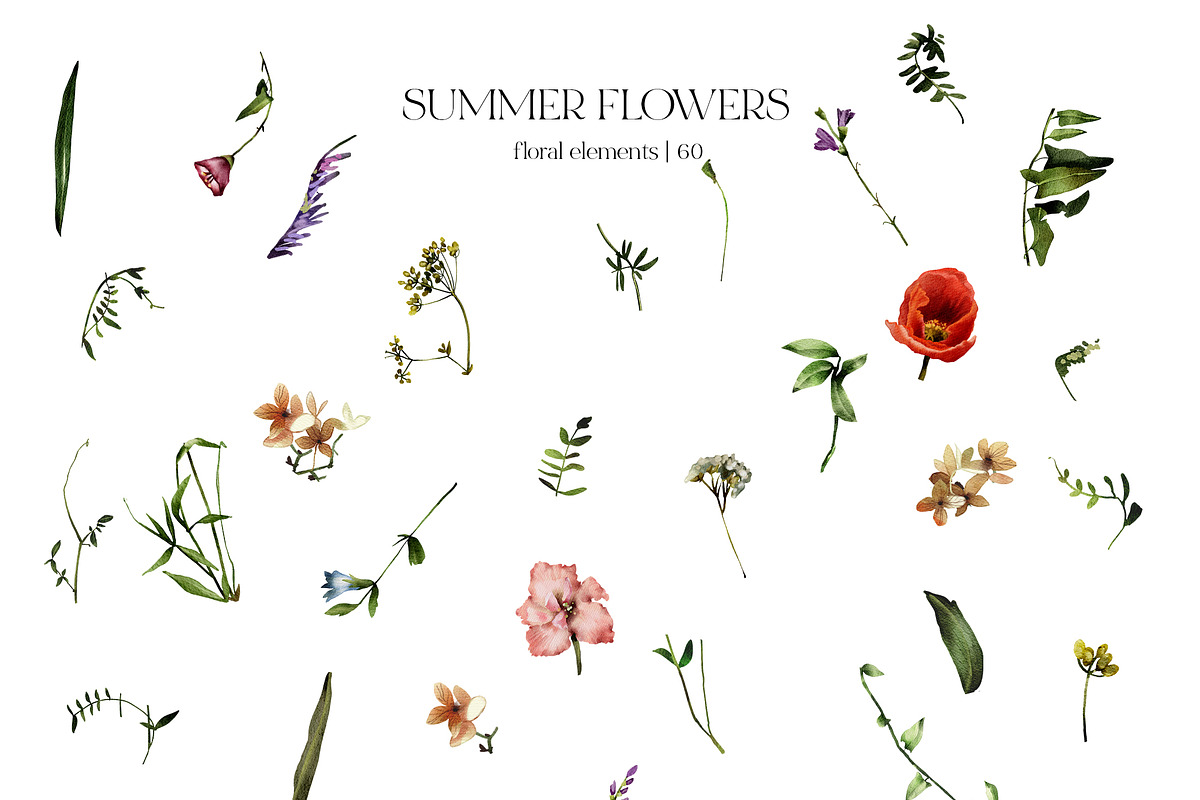 Field Flowers Watercolour Clipart, a Decorative Illustration by whiteheartdesign (Photo 19 of 20)