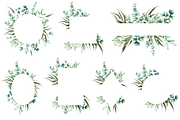 Eucalyptus Watercolor Illustrations, a Decorative Illustration by DioFlow (Thumbnail 6 of 11)