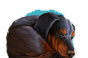 Puppies Dog Breeds Big Bundle 135Pcs, an Animal Illustration by Dneprstock (Thumbnail 61 of 68)