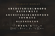 Scarlett Font Bundle, a Script Font by Swistblnk Std. (Thumbnail 12 of 16)