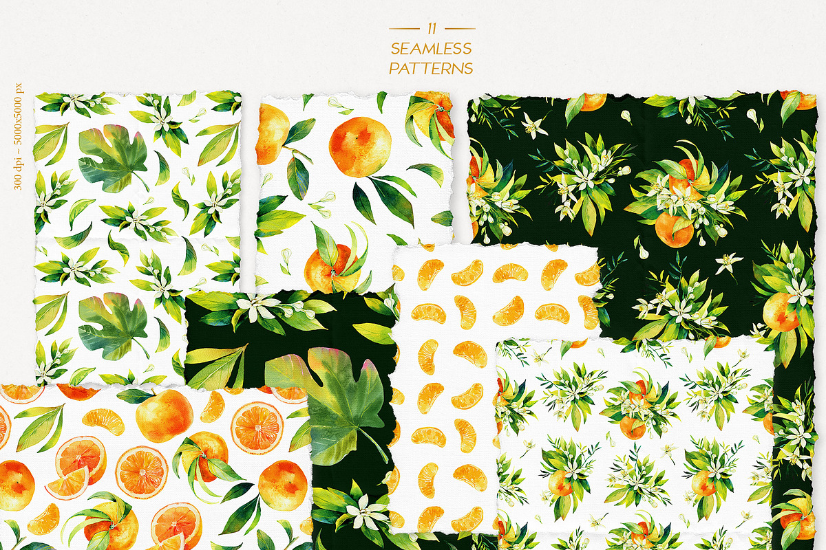 Tangerine Watercolor Collection, a Wallpaper Graphic by Natasha Koltsova (Photo 6 of 7)
