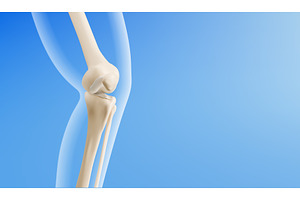 3d knee joint anatomy model, an Object Illustration by art PVP - market