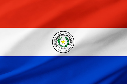 Paraguay flag background with waving fabric texture, a Background Photo by Davizro's Market