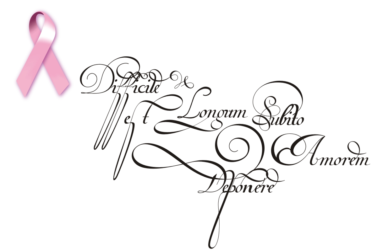 Van den Velde Script PRO preview 2