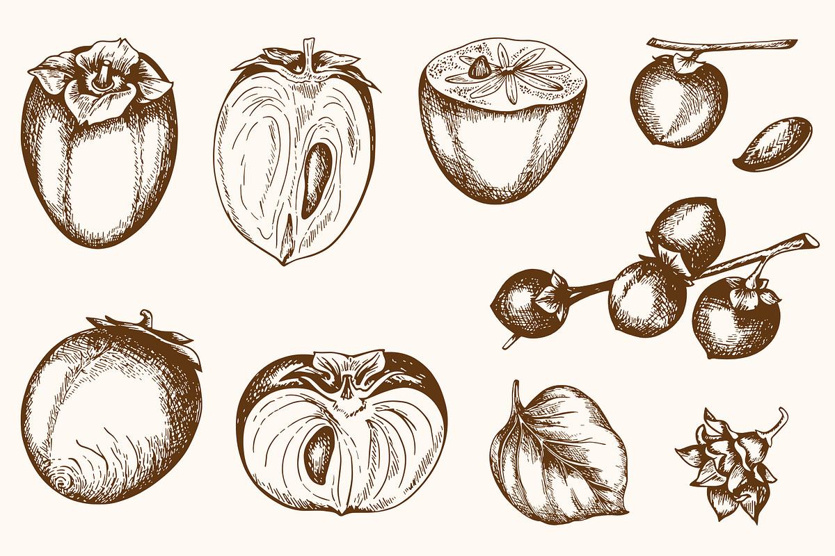 Sweet Persimmon Fruit Vintage Kit, a Food Illustration by Artspace (Photo 2 of 6)