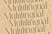 Coefficient Modern & Elegant Serif, a Serif Font by Lettertype Studio (Thumbnail 17 of 18)