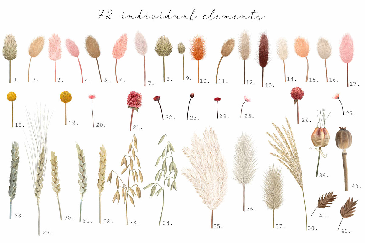 Big romantic dried flower set, a Texture Illustration by marie dricot (Photo 10 of 18)