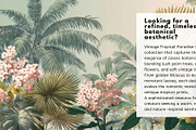 30+ Vintage Tropical Paradise Bundle, a Decorative Illustration by Virgo Studio (Thumbnail 2 of 6)