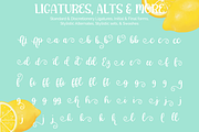 Lemon Squeezy font trio + dingbats!, a Font by Amber Nest Design (Thumbnail 6 of 9)