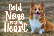 Corgi Puppy - Handwritten Font, a Font by Dm Studio (Thumbnail 2 of 6)