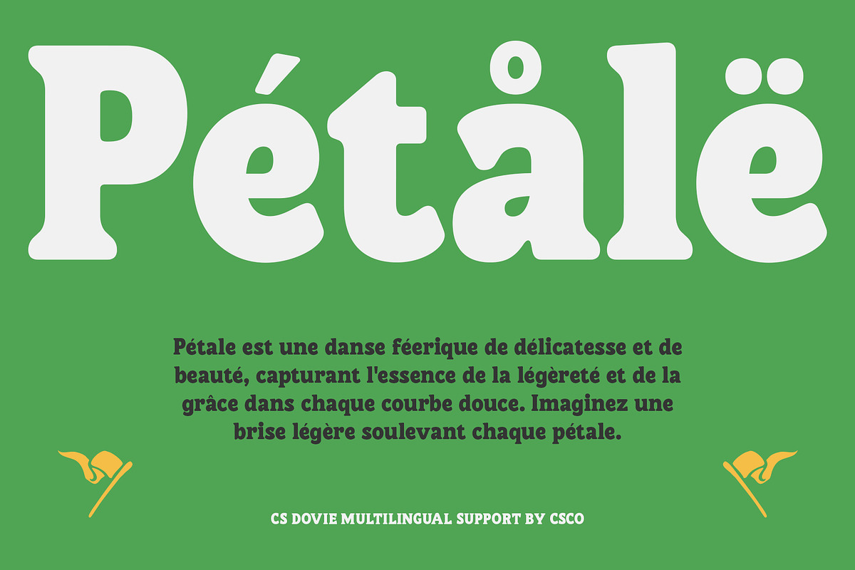 CS Dovie – Retro Font, a Serif Font by Craft Supply Co. (Photo 6 of 8)