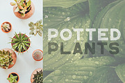Lagom SVG font + 2 rough OTF fonts, a Font by VP Fonts (Thumbnail 7 of 8)