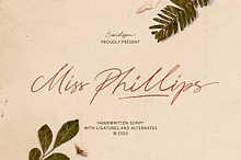 Miss Phillips - Handwritten Script