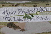 My Lost Trinket | Whimsy Curly Font, a Handwritten Font by ana & yvy (Thumbnail 7 of 13)