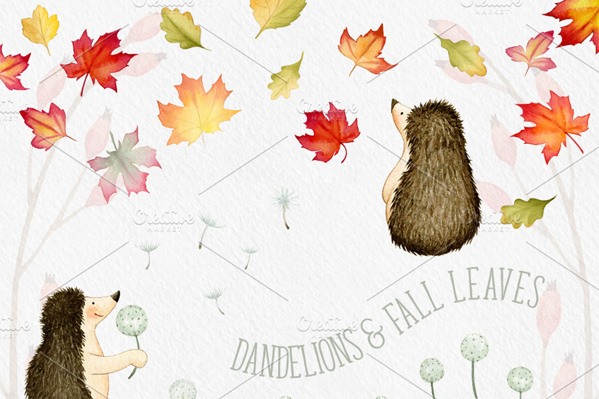 The Hedgehog - Mini Collection, an Illustration by Watercolor Nomads (Photo 4 of 4)