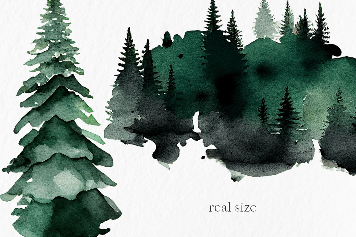 Forest Watercolor Clipart PNG, an Object Graphic by MyLittleMeow (Photo 5 of 6)