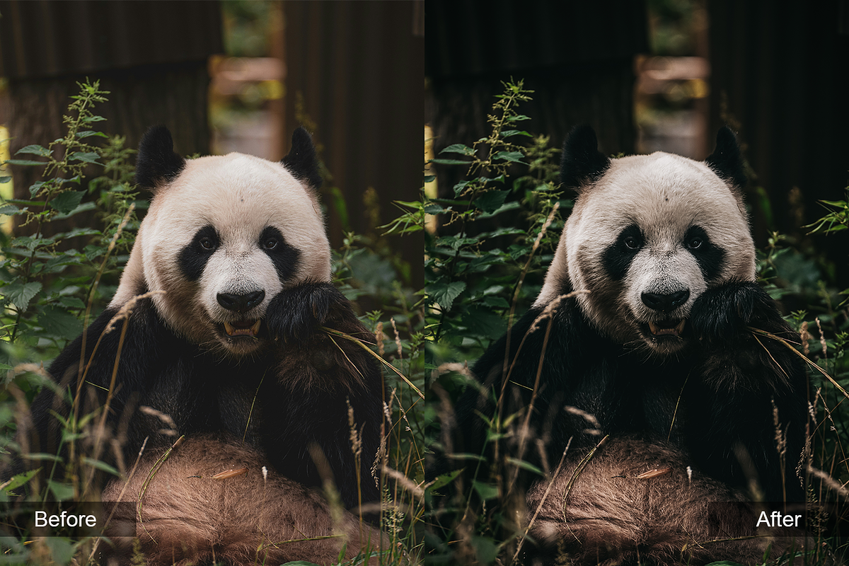Travel Preset Pack, a Preset Add-On by MadeRed (Photo 2 of 16)