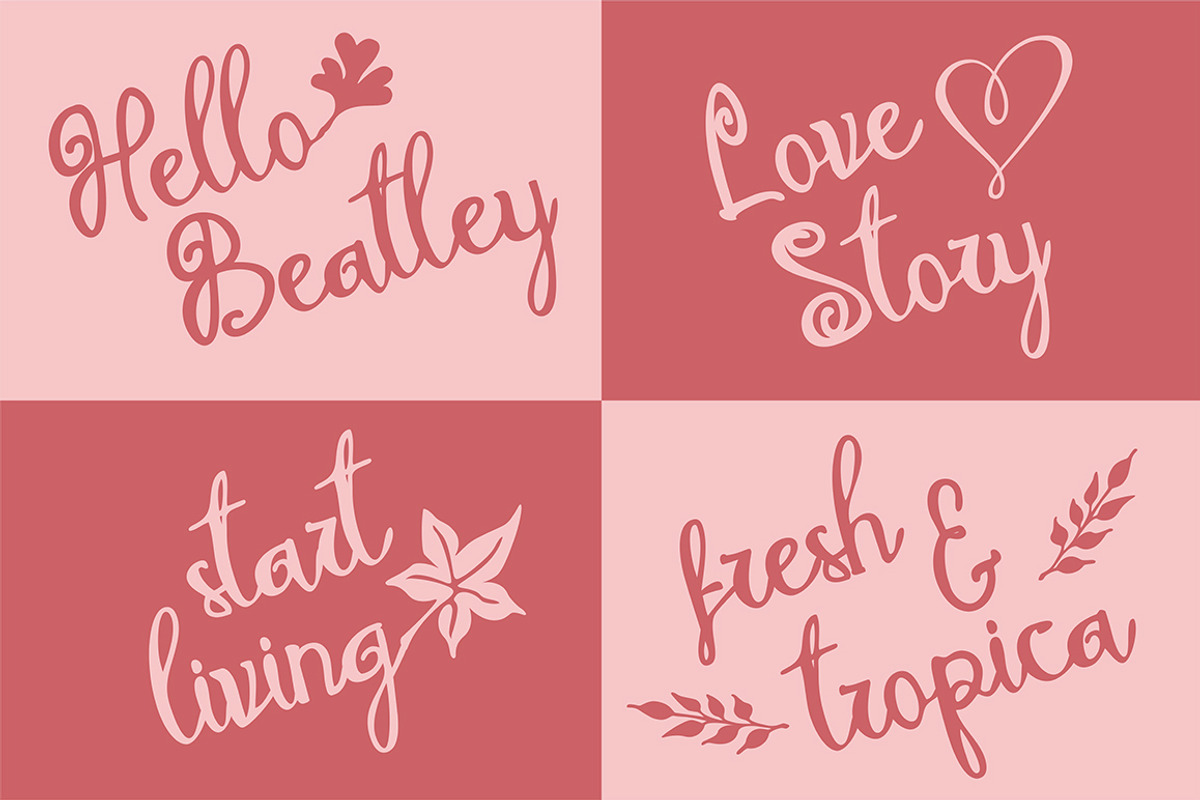 Melodina Script preview 4
