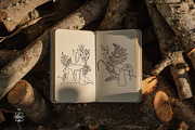 COTTAGECORE HERBARIUM, an Object Illustration by Kate Art (Thumbnail 16 of 22)