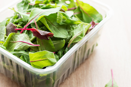 Salad mix in a box., a Food & Drink Photo by Olena Rudo