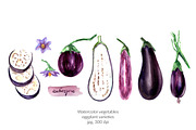 Watercolor vegetables. Eggplant., a Food Illustration by katya.bogina (Thumbnail 1 of 4)