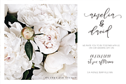 Besotted Modern Calligraphy Script, a Script Font by Inky Jar Design Studio (Thumbnail 5 of 11)