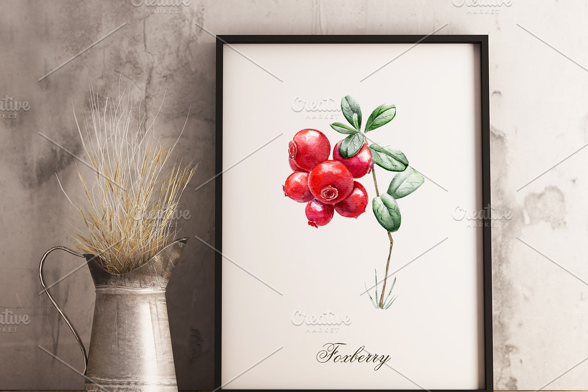 Forest watercolor designer toolkit, an Animal Illustration by Elegantia (Photo 7 of 28)